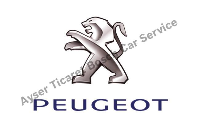 Ankara Peugeot Servisi